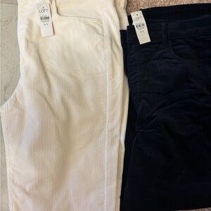 LOFT Corduroy Pants in Cream and Navy